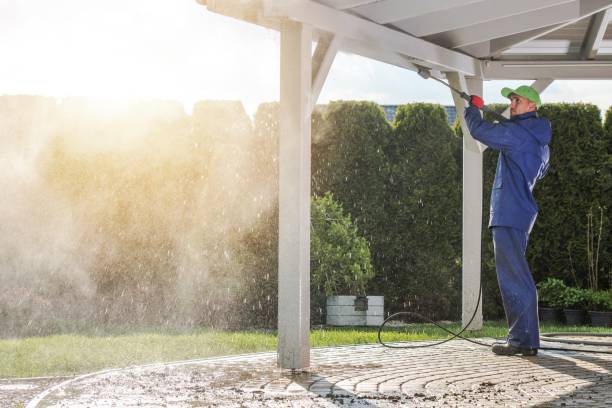 Best Dumpster Area Cleaning  in , WY
